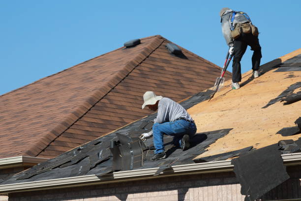 Best Roofing for New Construction  in South Williamsport, PA